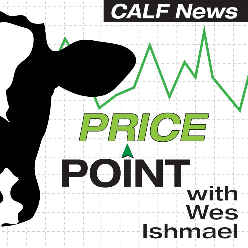 price-point-podcast-calf-news