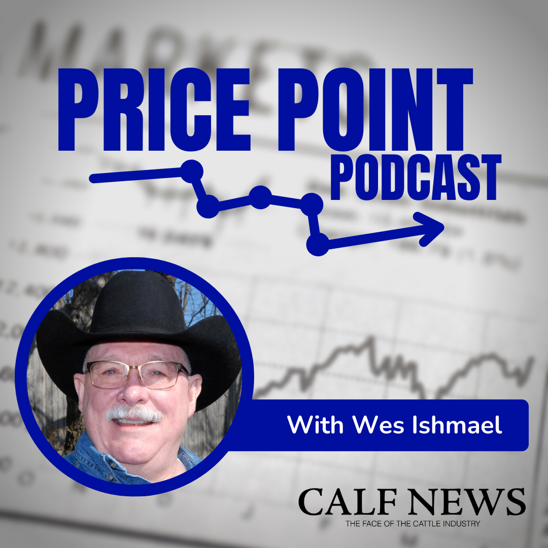 price-point-podcast-calf-news