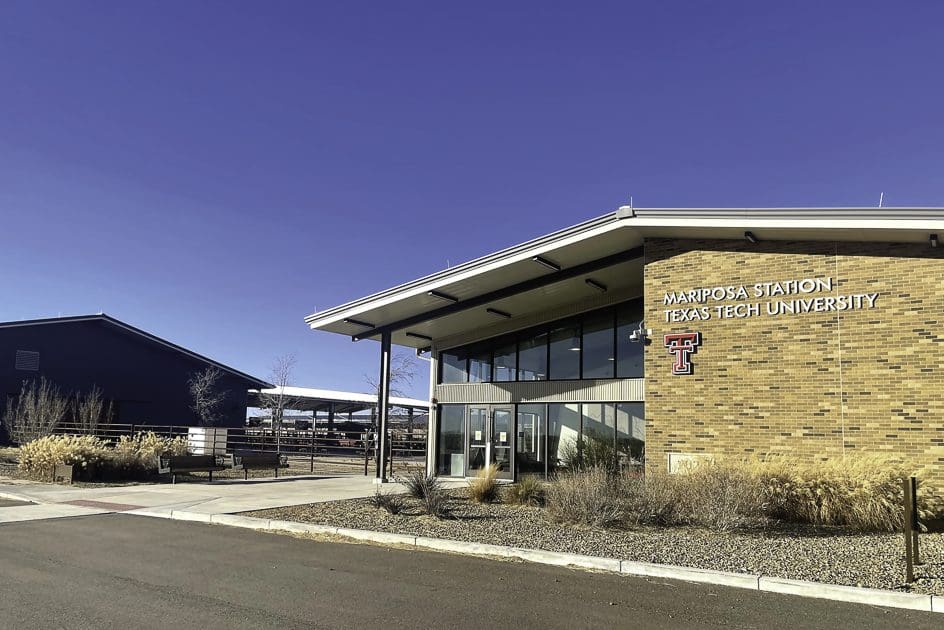 TEXAS TECH VET SCHOOL STUDENTS ENJOY CLINICALS Calf News texas-tech-vet-school-students-enjoy-clinicals-calf-news