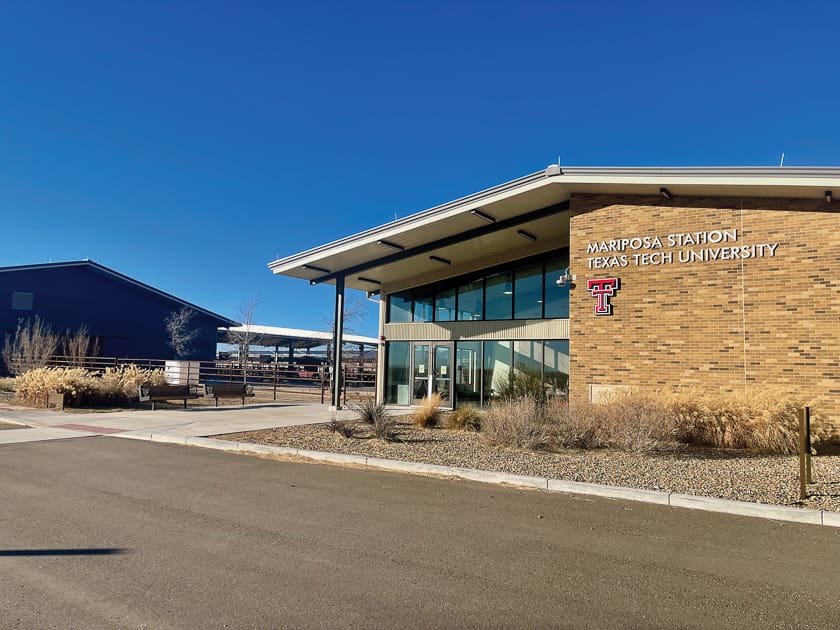 Texas Tech Vet School Granted Full Accreditation Calf News texas-tech-vet-school-granted-full-accreditation-calf-news